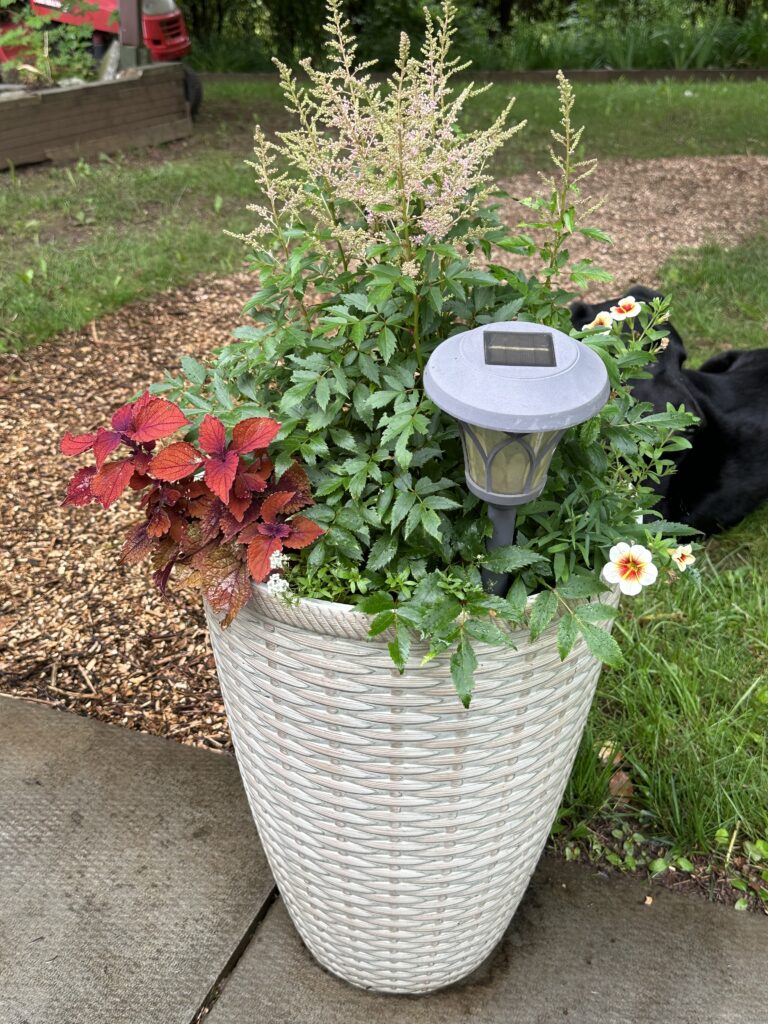 White planter with shade flowers and a solar powered light